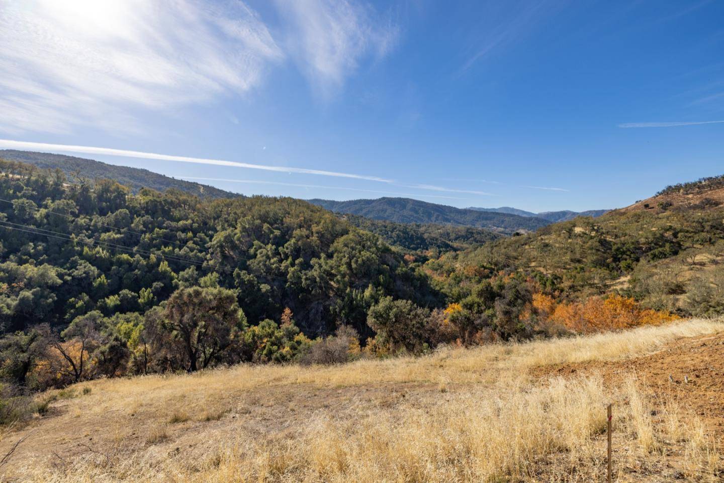 Carmel Valley, CA 93924,20803 Cachagua RD