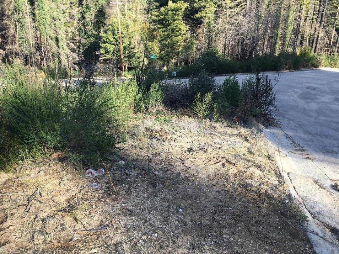 Boulder Creek, CA 95006,190 Fern Rock WAY