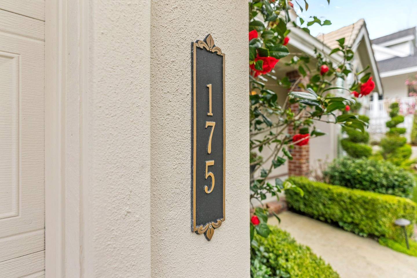 Scotts Valley, CA 95066,175 Tan Oak