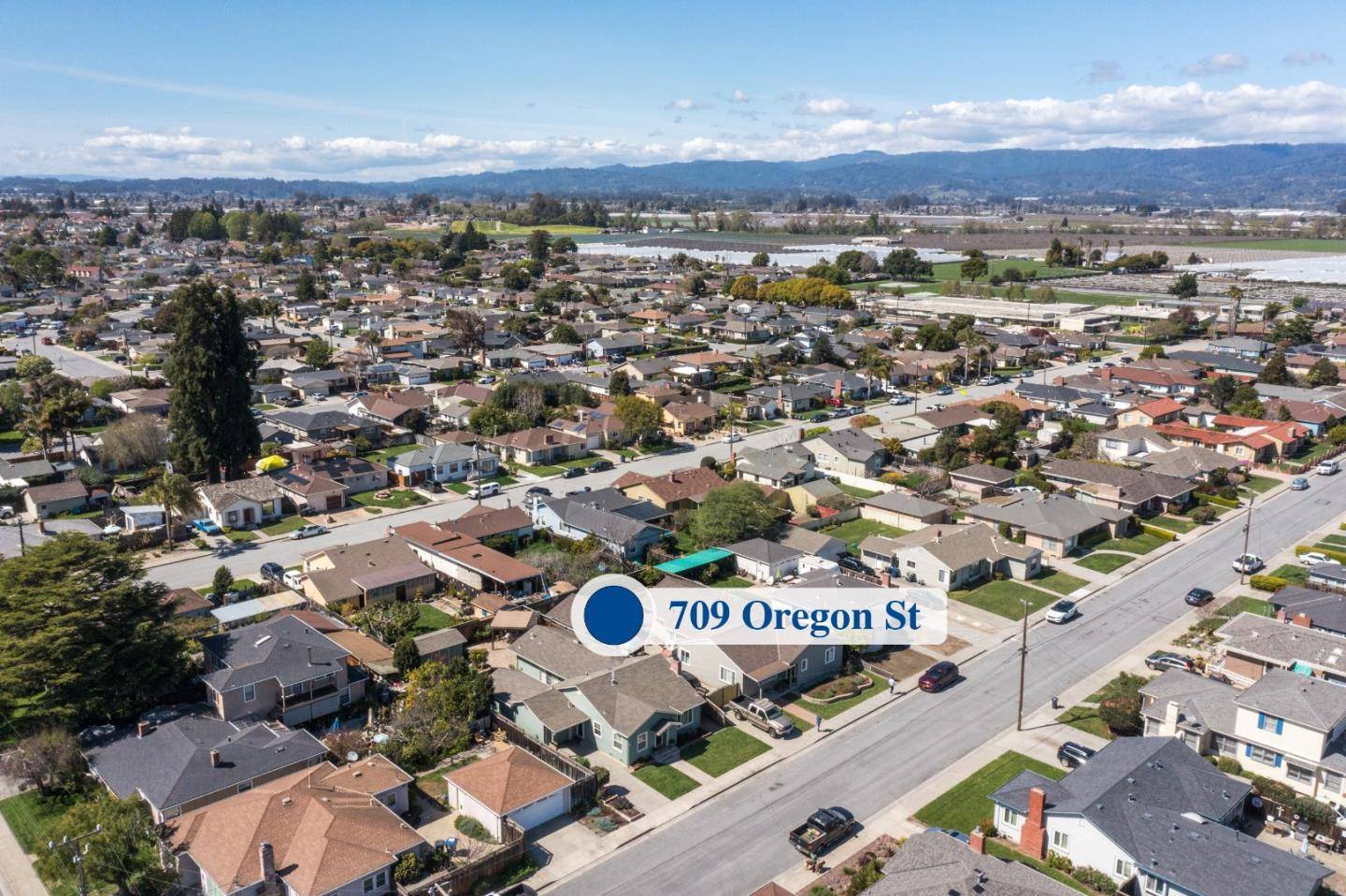 Watsonville, CA 95076,709 Oregon ST