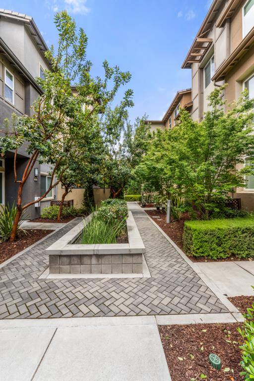 Milpitas, CA 95035,295 Odyssey LN
