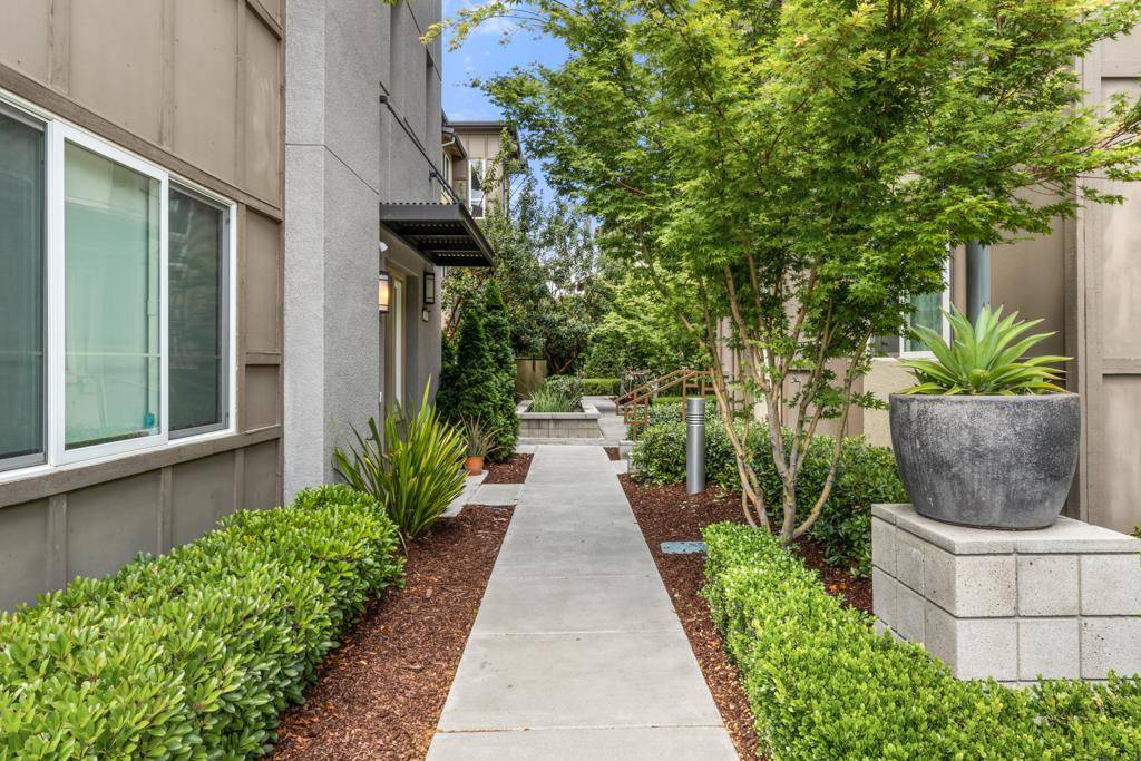 Milpitas, CA 95035,295 Odyssey LN
