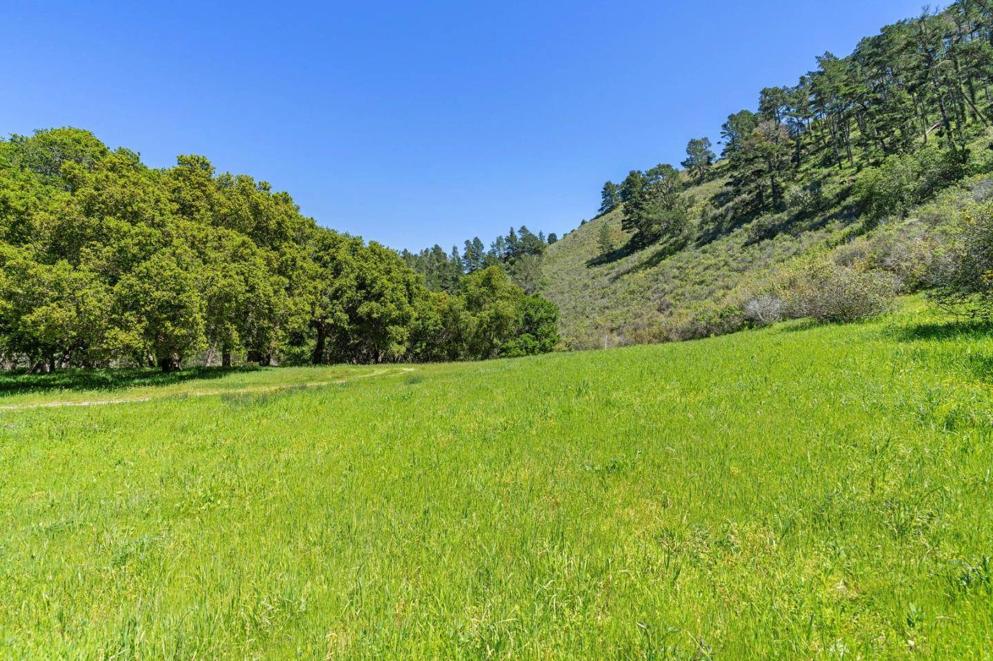 Carmel, CA 93923,20 Tehama (Lot 38)