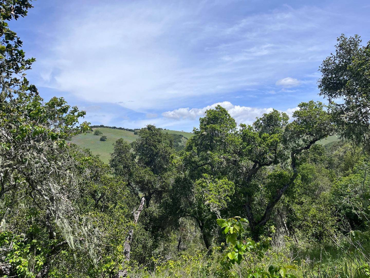 Carmel Valley, CA 93924,33446 E Carmel Valley RD