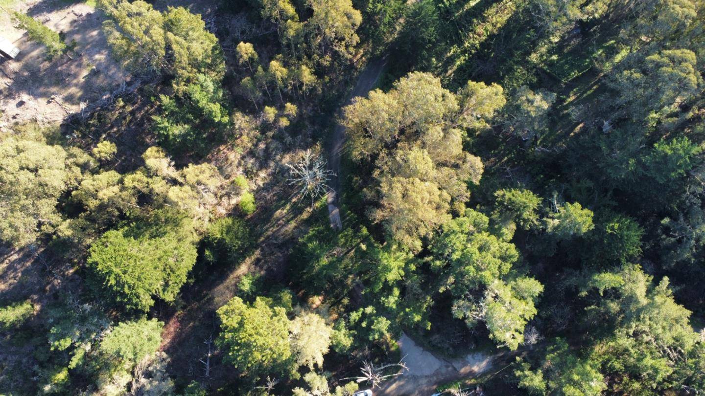 Montara, CA 94037,700 Cedar St.
