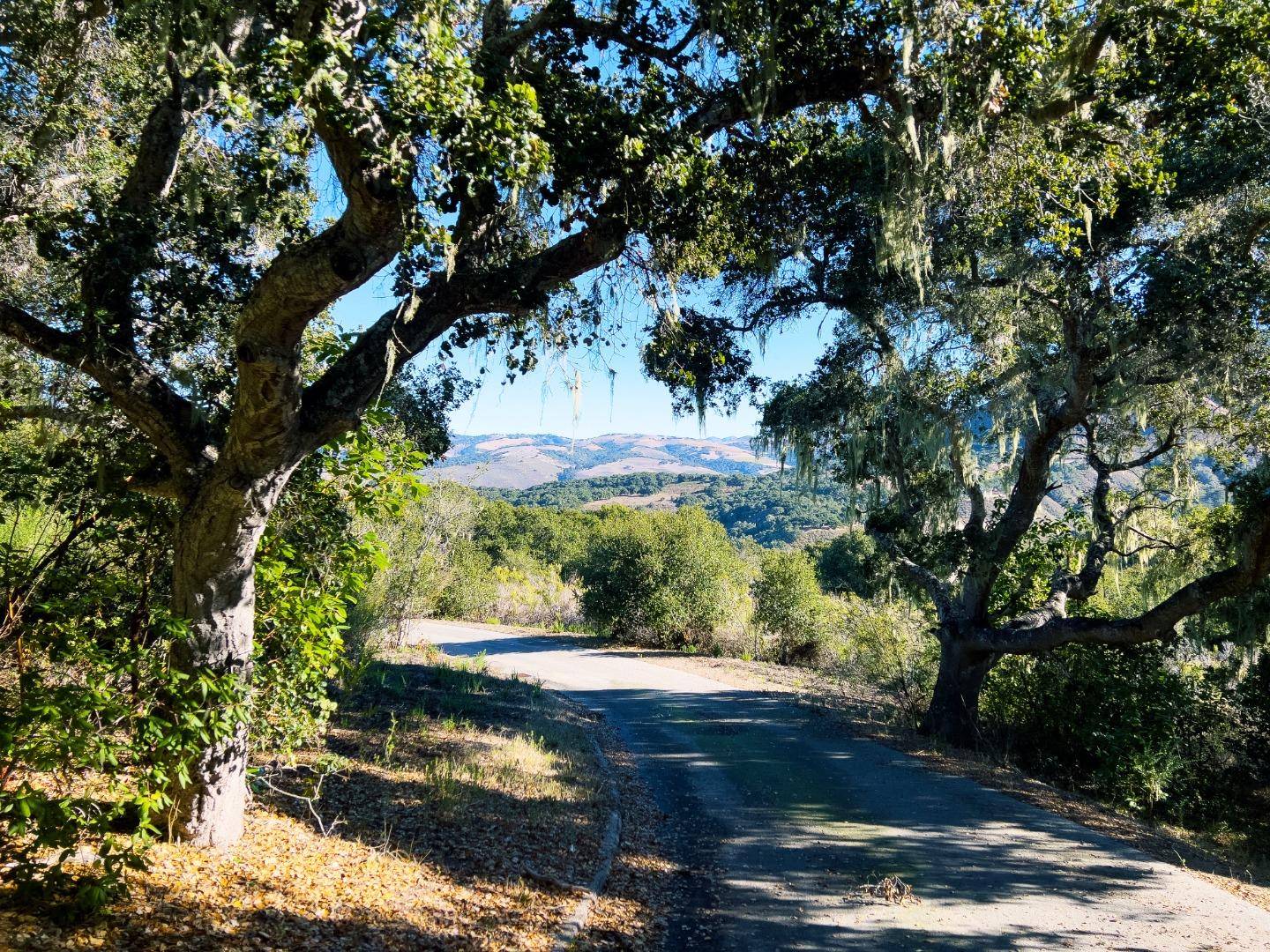 Carmel, CA 93923,7 Holding Field Run