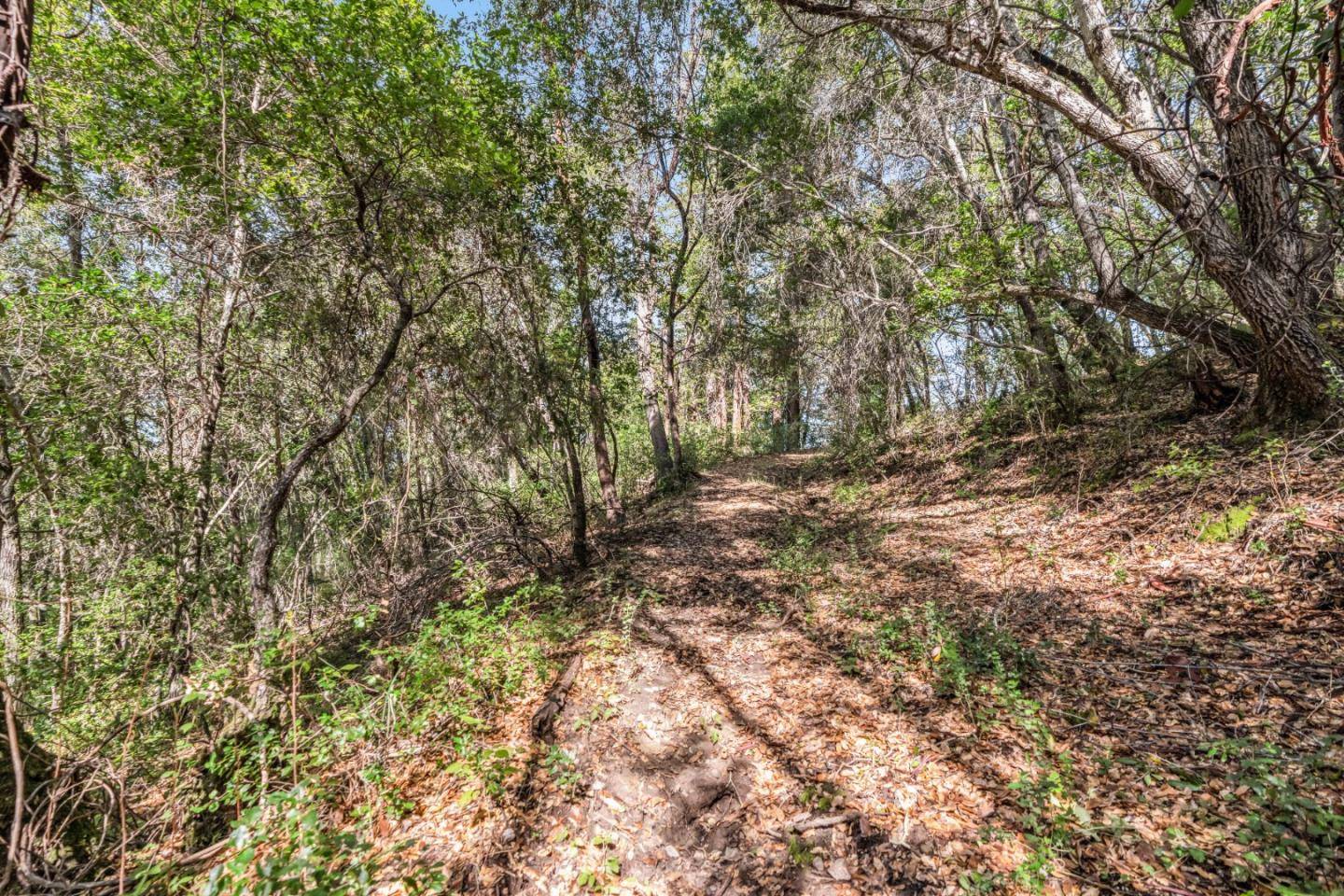 Felton, CA 95018,Lot 08 Madrone AVE