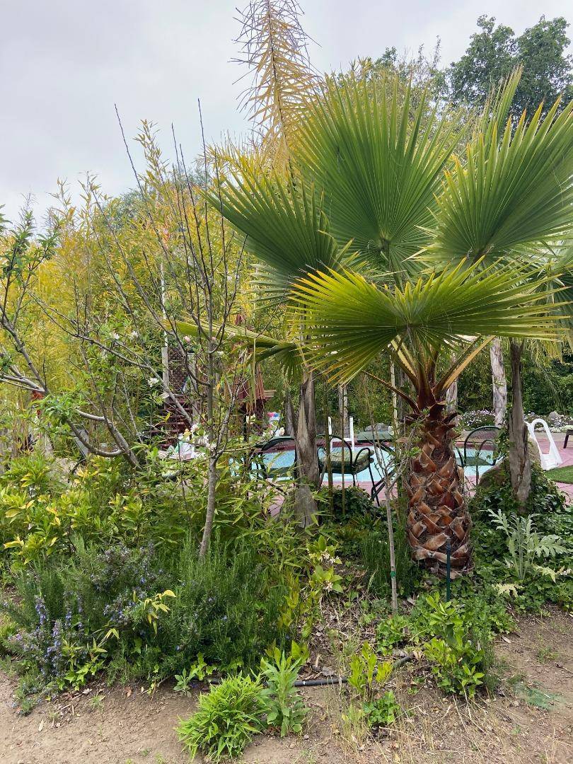 Watsonville, CA 95076,162 Dalton LN