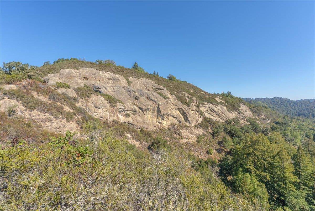 Boulder Creek, CA 95006,0 Whalebone Gulch