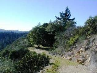 Boulder Creek, CA 95006,0 Logan Creek