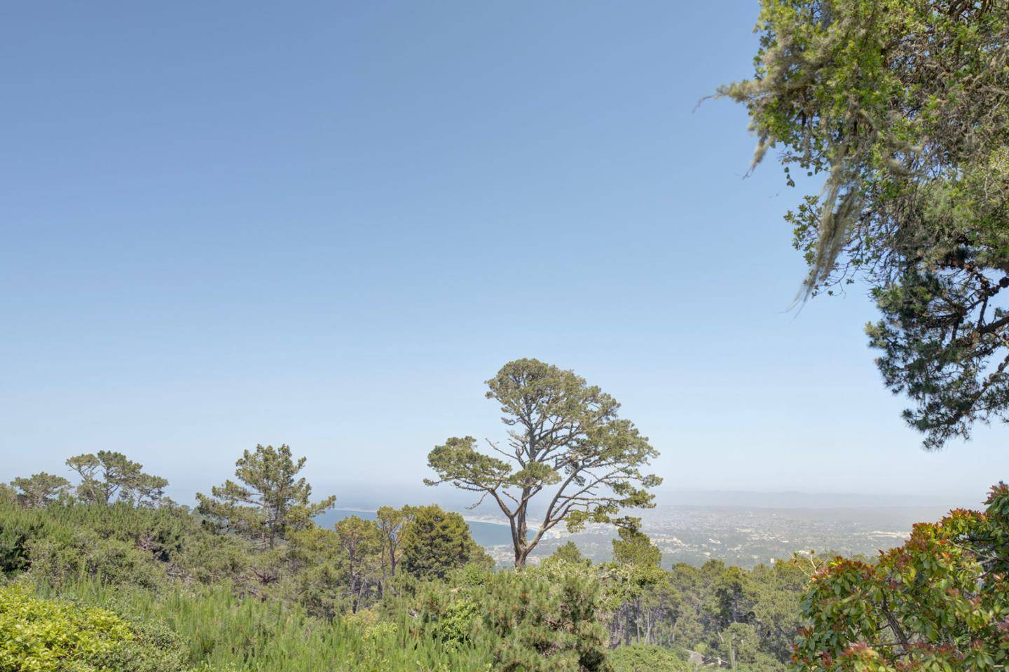 Pebble Beach, CA 93953,4113 Crest RD