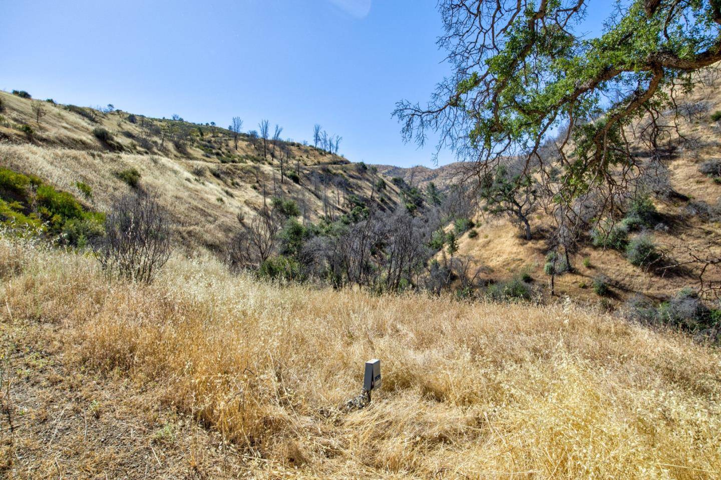 Newman, CA 95360,14600 Del Puerto Canyon RD