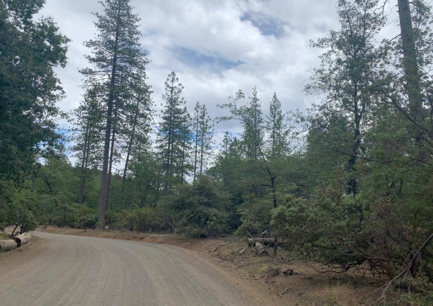Loch Lomond, CA 95461,8655 Harrington Flat Road