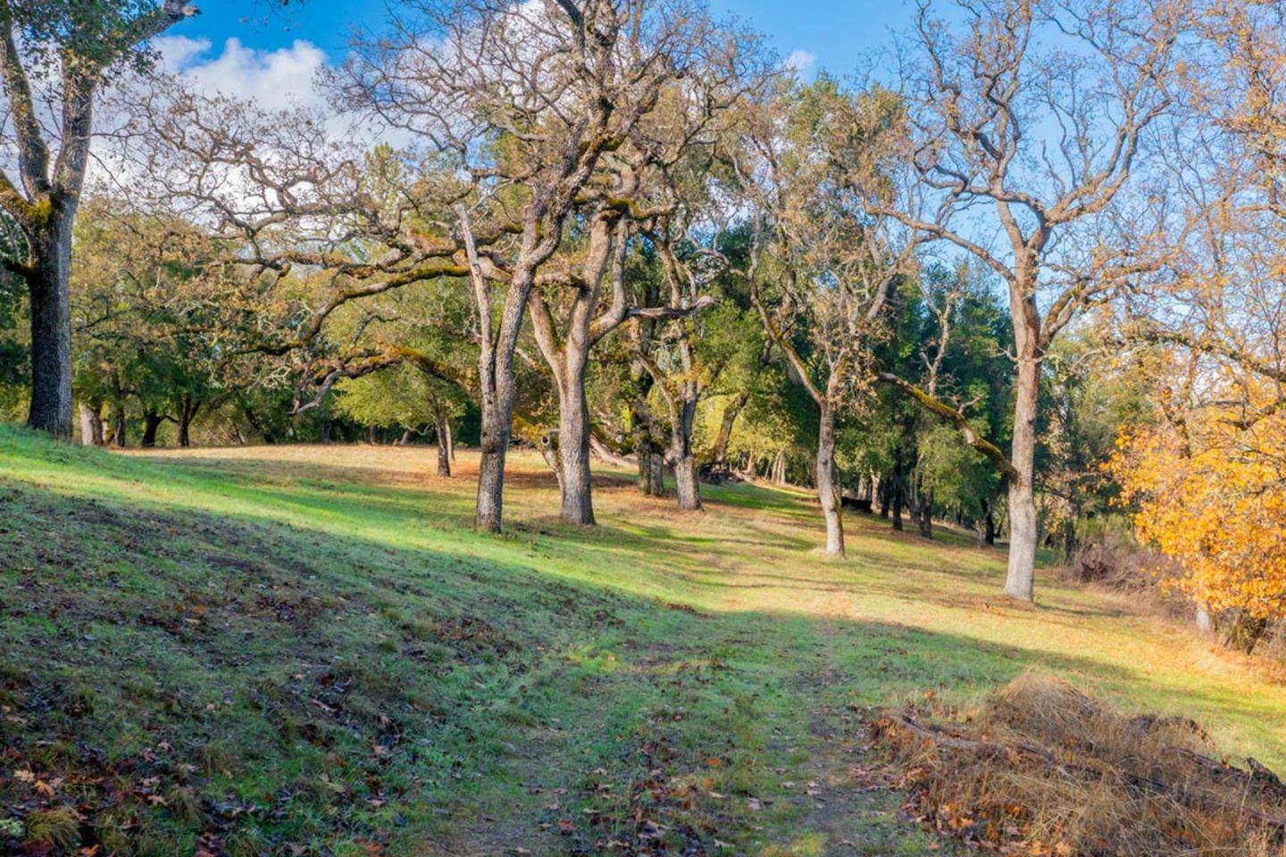 Carmel, CA 93923,36 Arroyo Sequoia (Lot 117)