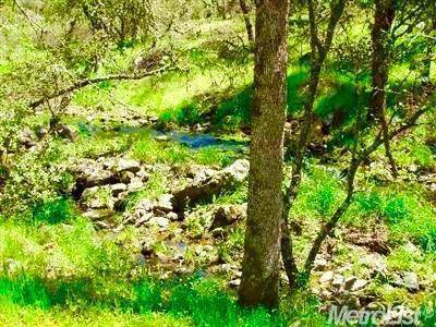 Placerville, CA 95667,0 Grassy Run RD