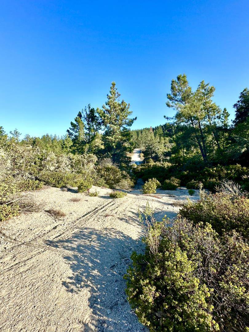 Felton, CA 95018,10001 West DR