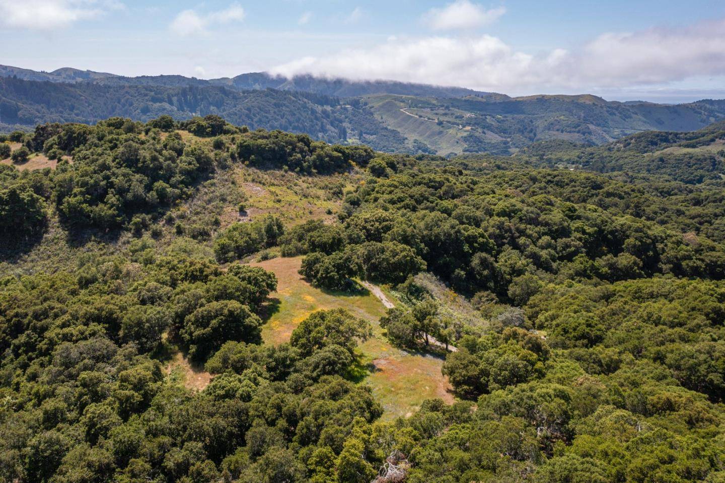 Carmel, CA 93923,8 Corral RUN