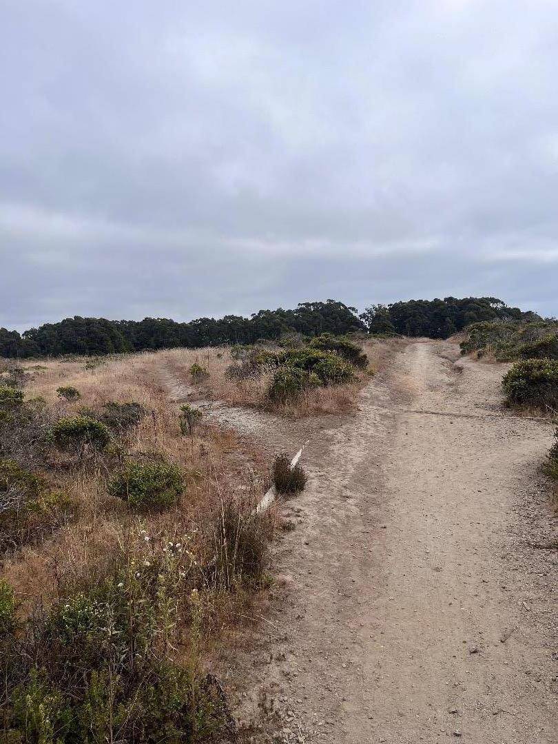 Half Moon Bay, CA 94019,110 Park AVE