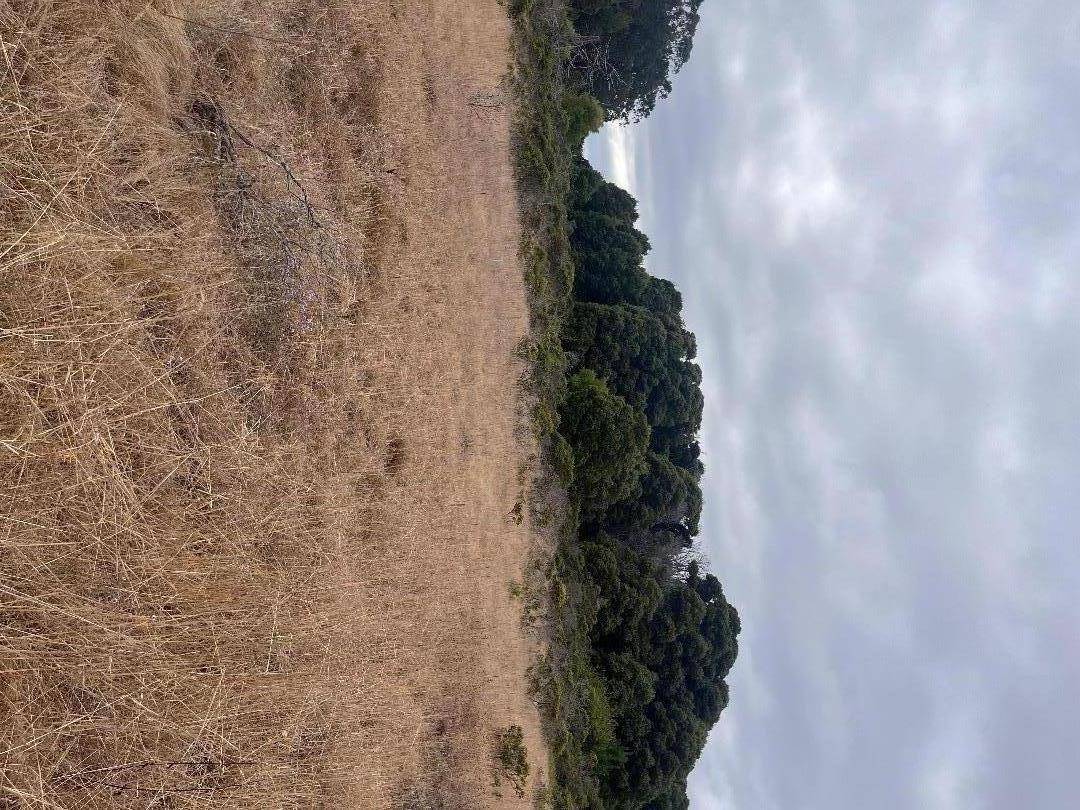 Half Moon Bay, CA 94019,200 Dolores AVE