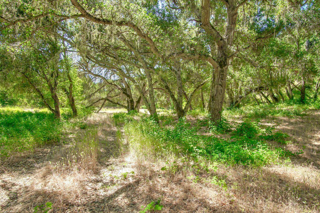 Carmel Valley, CA 93924,36000 E Carmel Valley RD