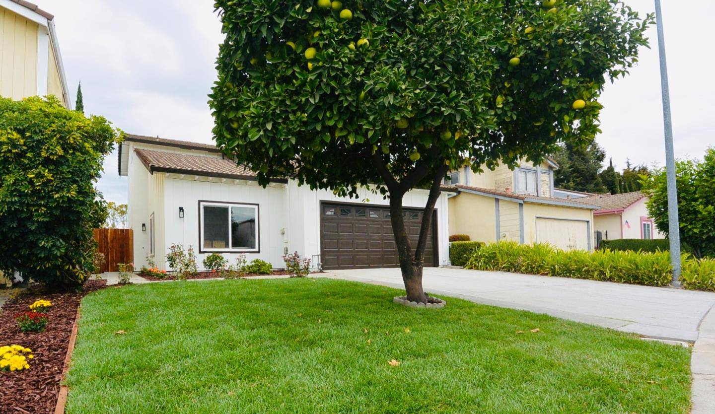 Milpitas, CA 95035,29 Jason DR