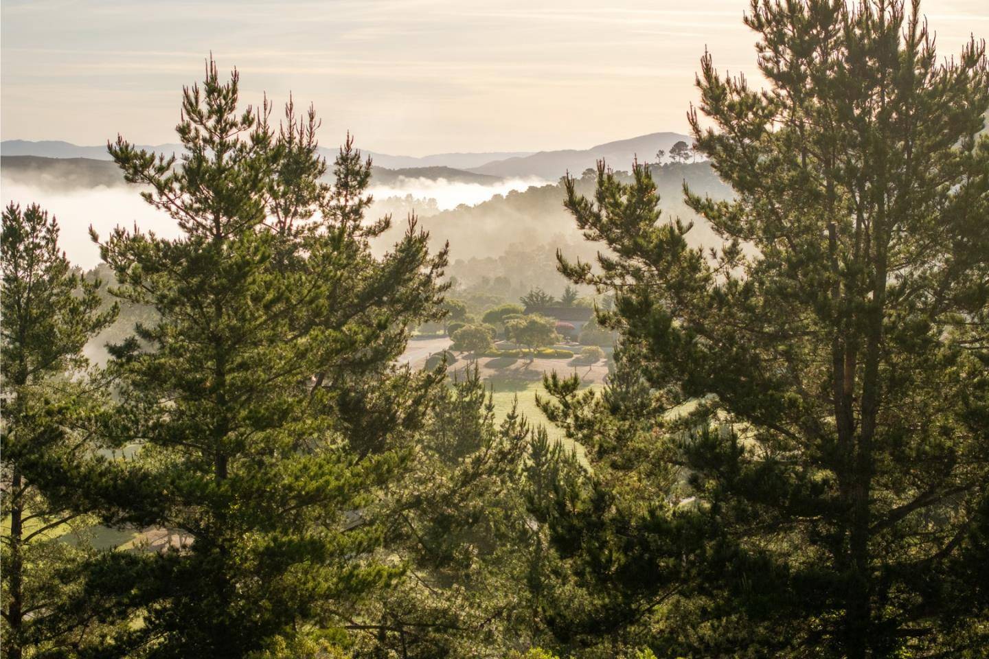 Carmel, CA 93923,7925 Cinquenta (Lot 97)