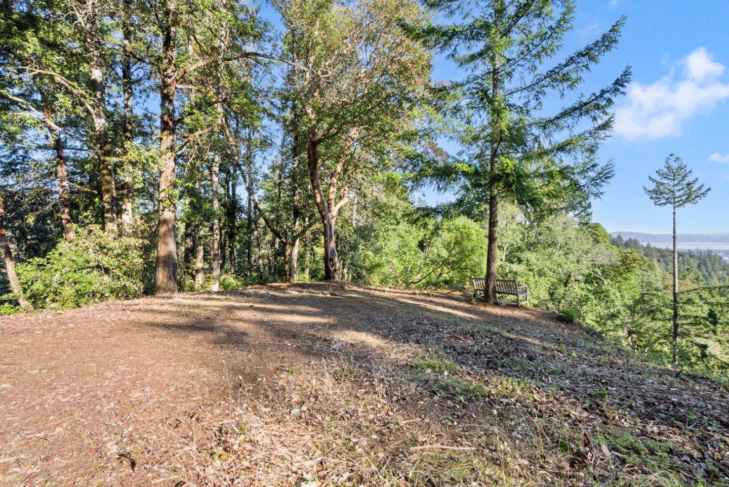 Woodside, CA 94062,0 Allen