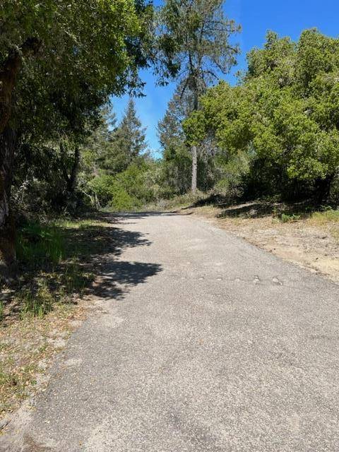 Boulder Creek, CA 95006,225 Santa Cruz ST