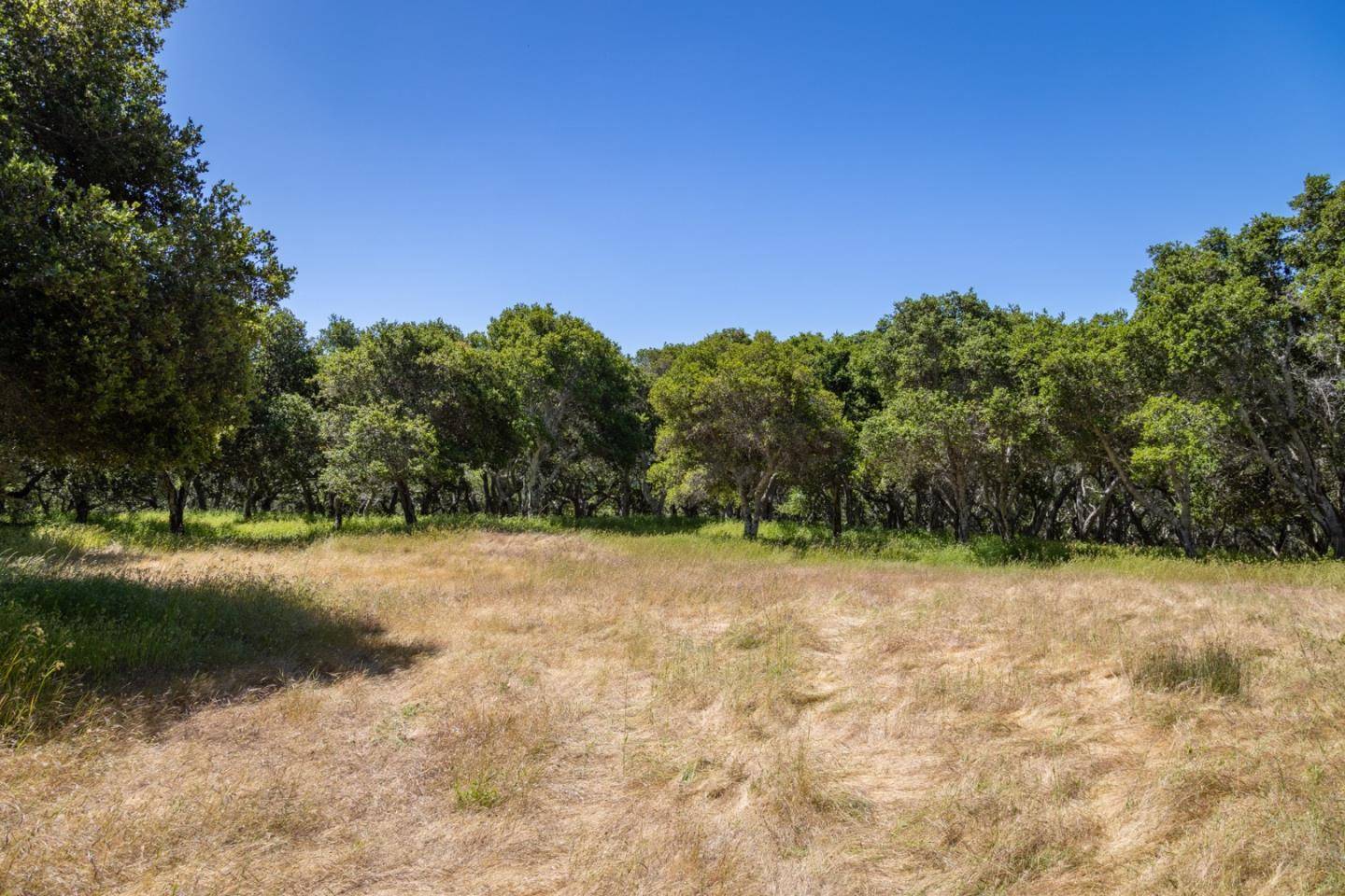 Carmel, CA 93923,6 Rancho San Carlos RD