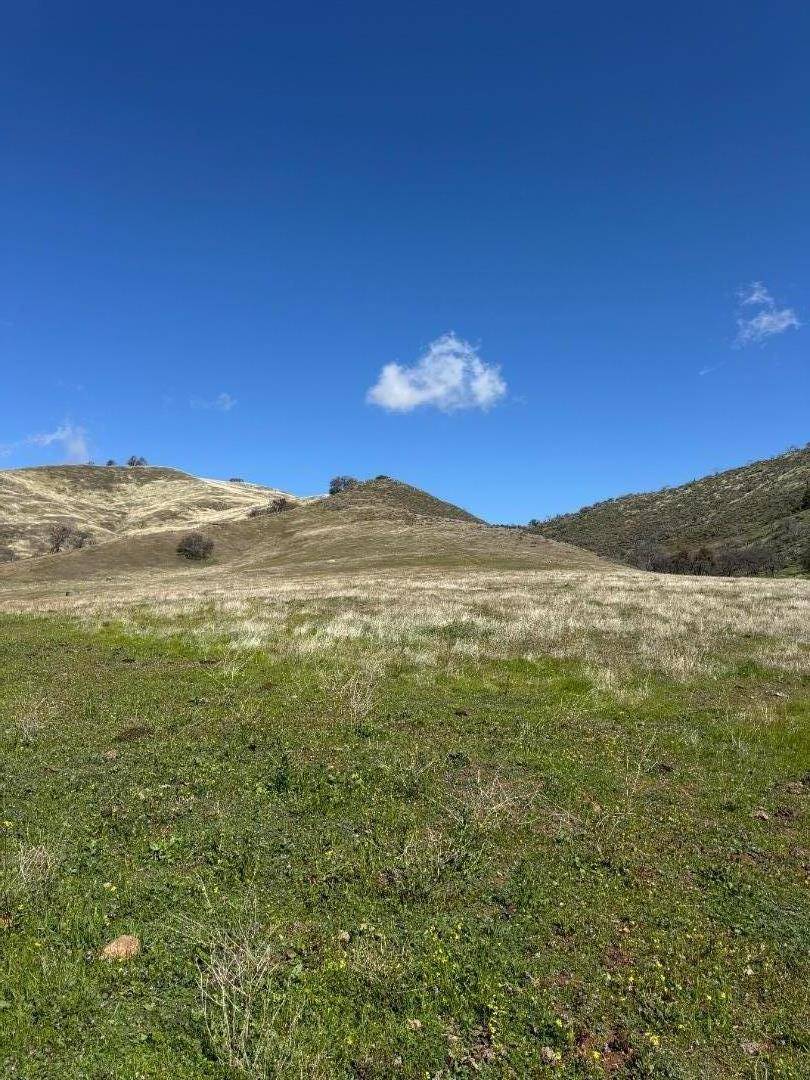 Paicines, CA 95043,42.1 Panoche
