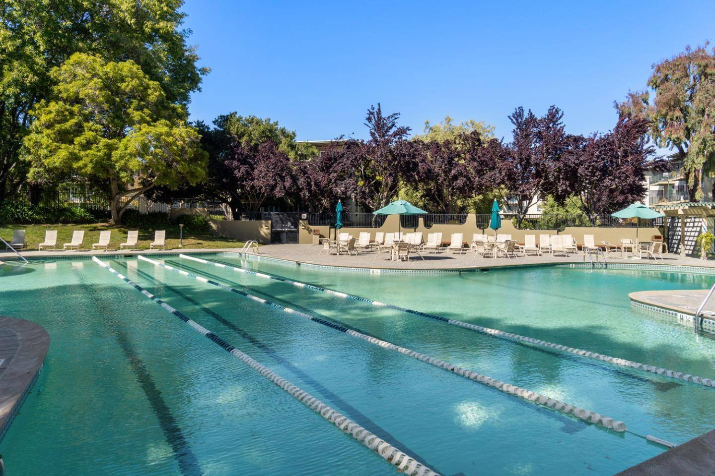 San Mateo, CA 94401,802 N Delaware ST 303