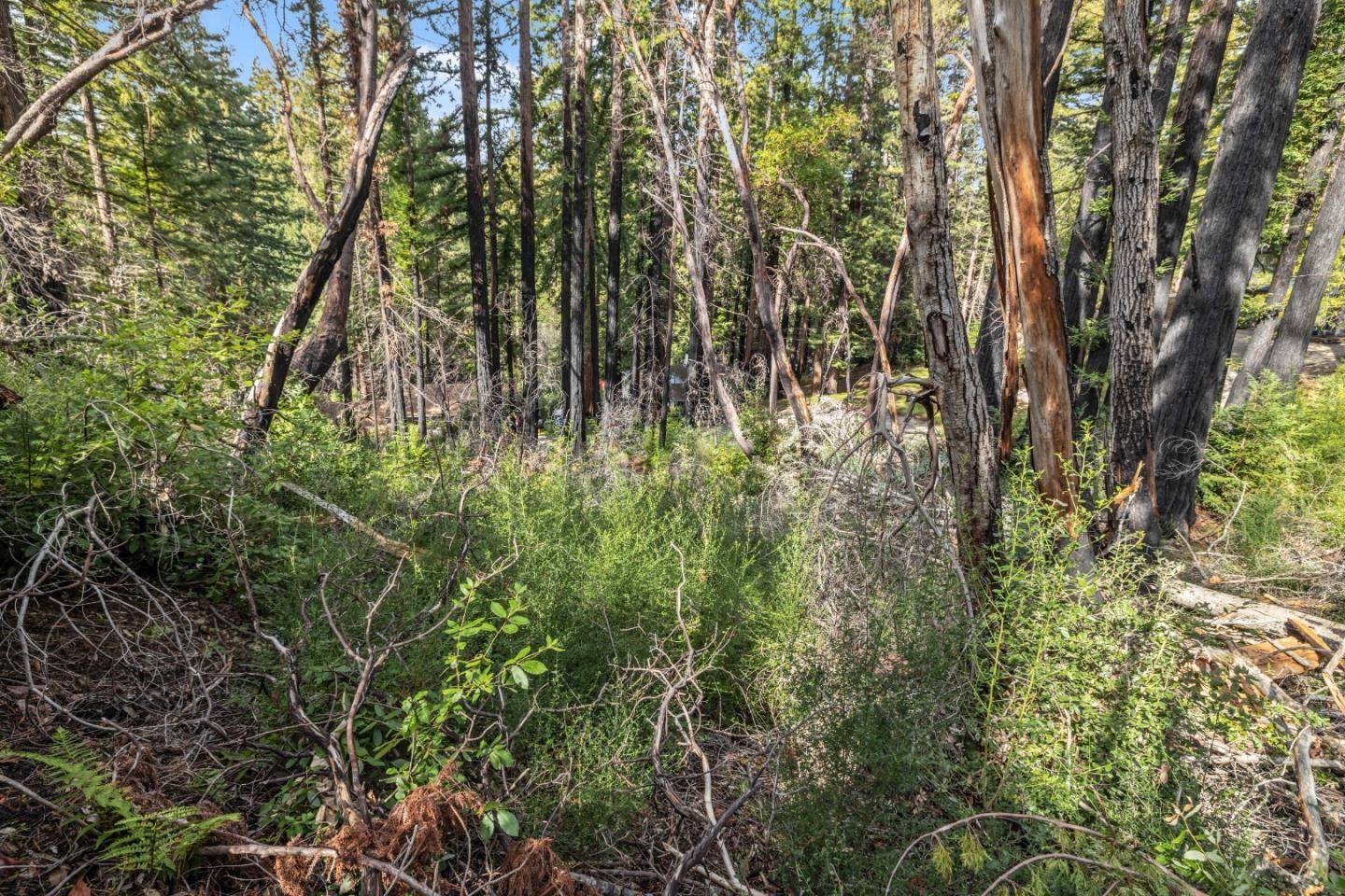 Boulder Creek, CA 95006,Lot 07 Dogwood WAY