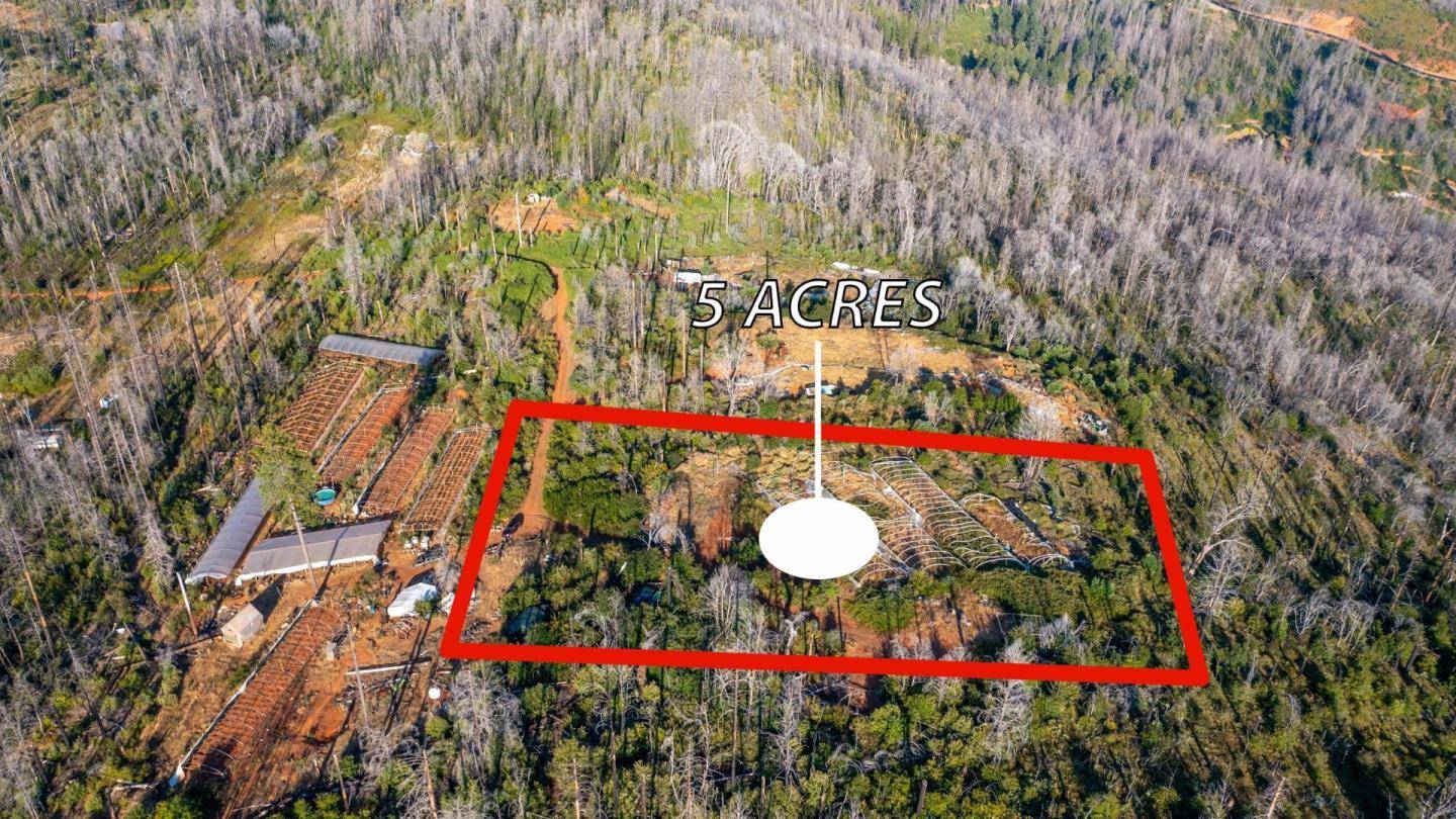 Berry Creek, CA 95916,175 Bonnie Meadow LN