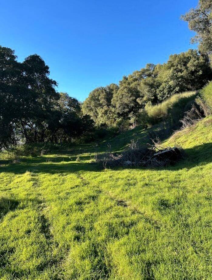 Ukiah, CA 95482,1320 Sanford Ranch RD