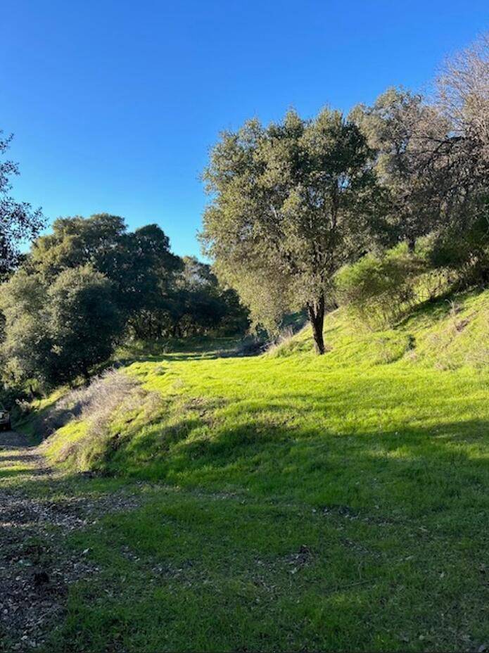 Ukiah, CA 95482,1320 Sanford Ranch RD