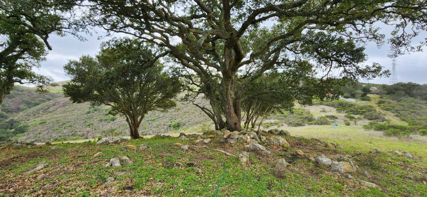 San Juan Bautista, CA 95045,0 Salinas Salinas RD