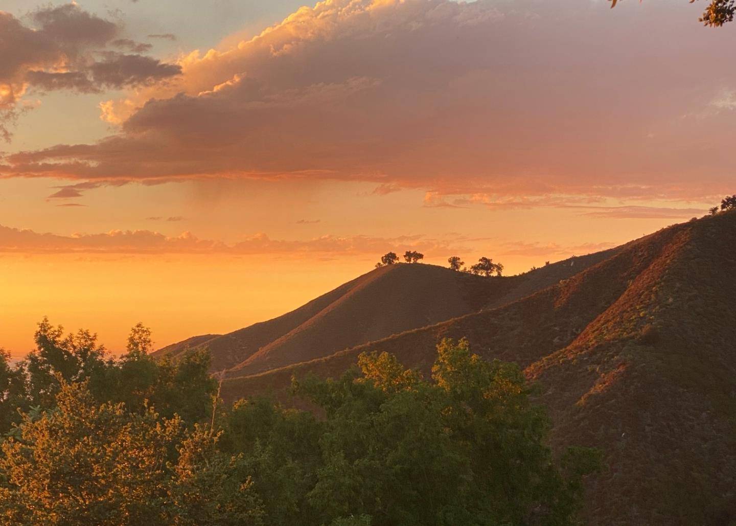Carmel, CA 93923,37783 Palo Colorado RD