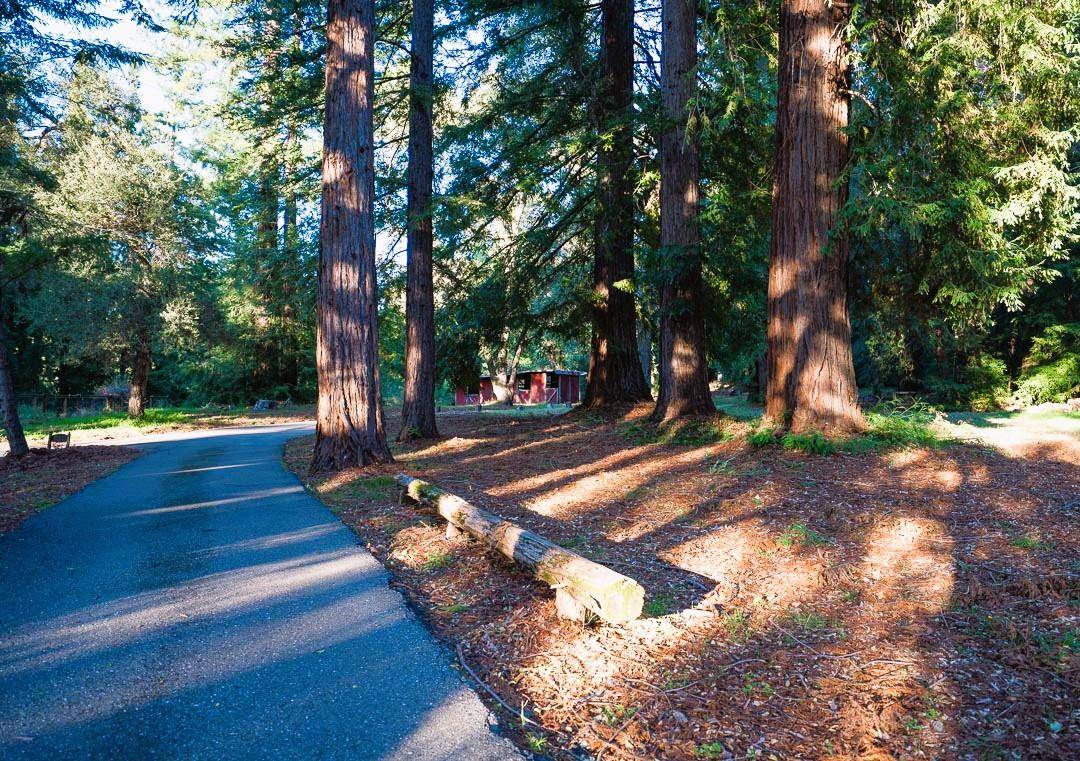 Los Gatos, CA 95033,17337 Debbie RD