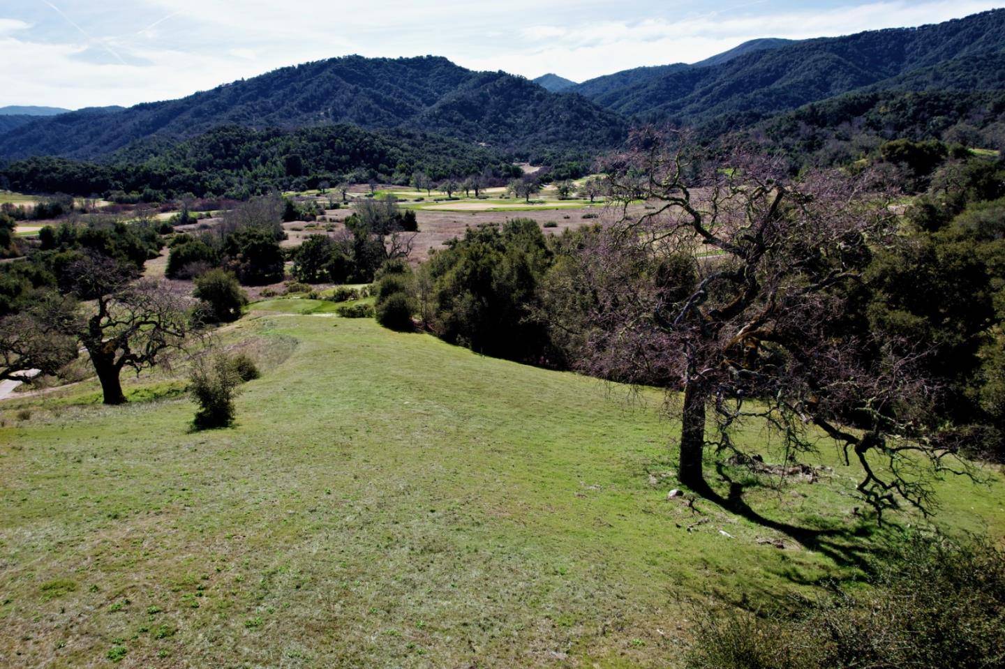 Carmel, CA 93923,37 E Pronghorn RUN
