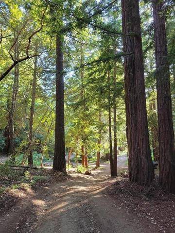 Boulder Creek, CA 95006,1 Skyview RD