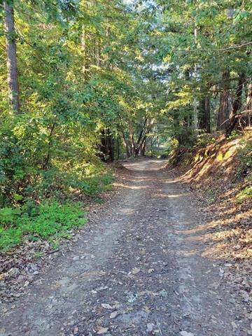 Boulder Creek, CA 95006,1 Skyview RD