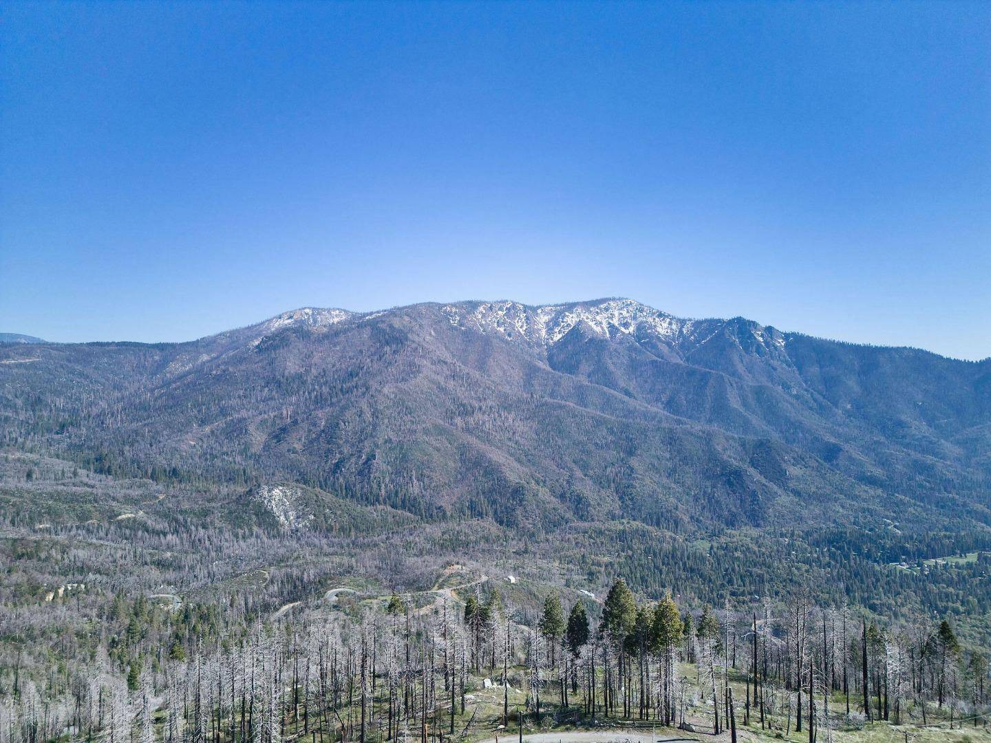 Springville, CA 93265,53022 Pine View DR