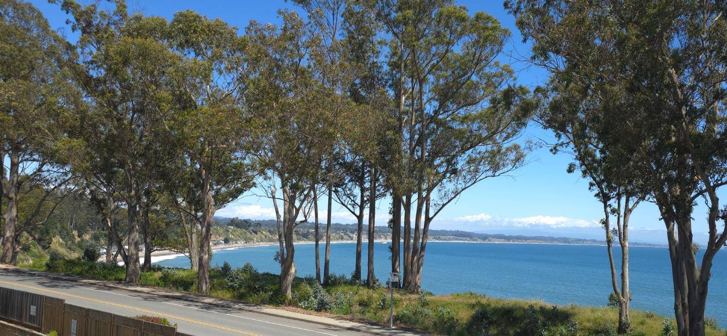 Capitola, CA 95010,815 Balboa AVE 206