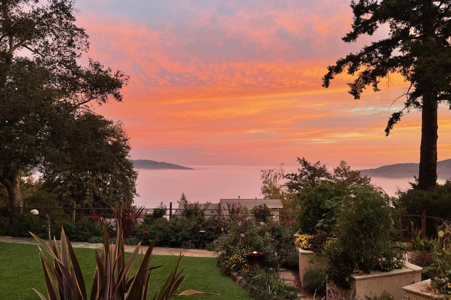 Los Gatos, CA 95033,21106 Brush RD