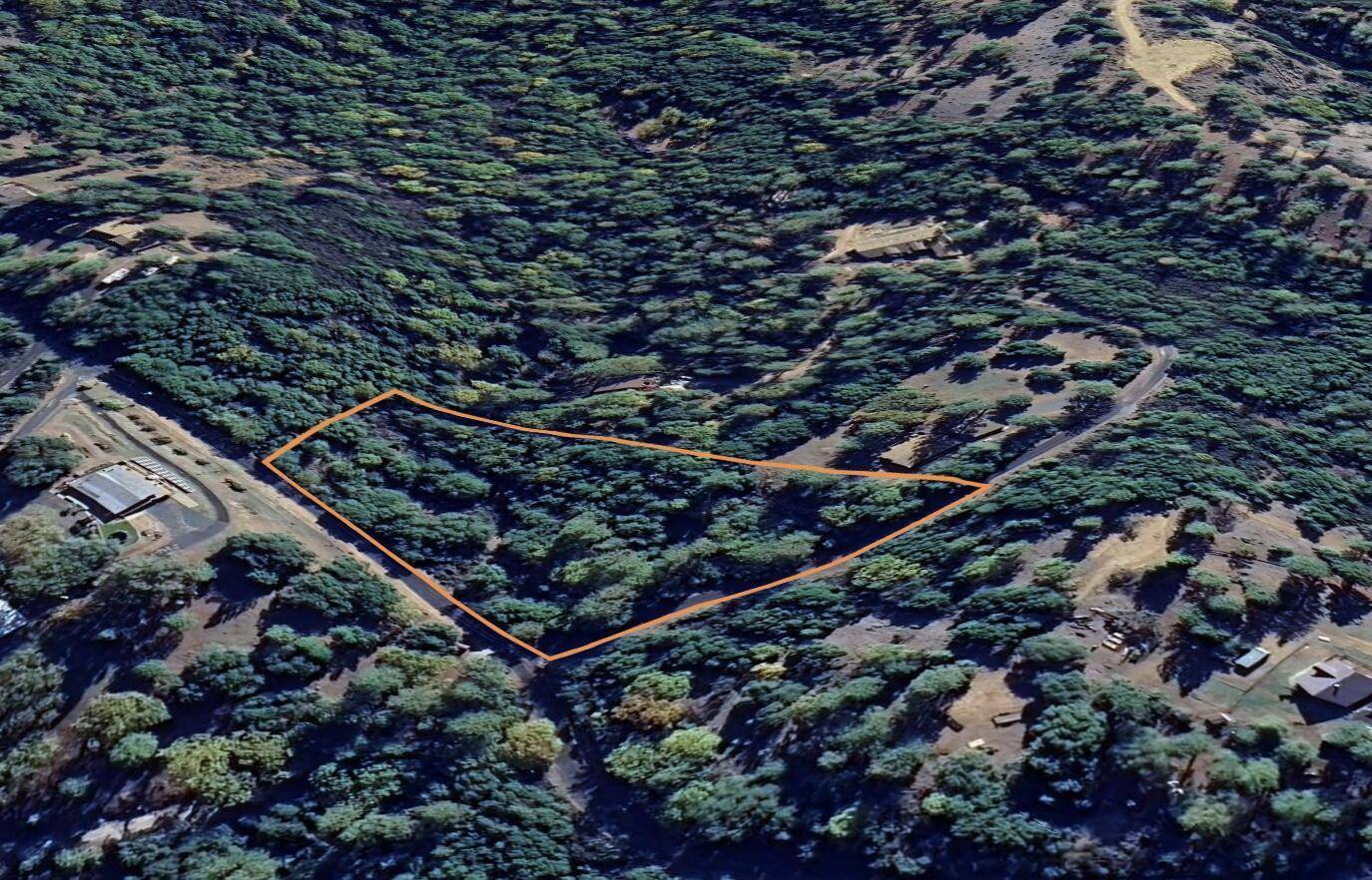 Jackson, CA 95642,0 Toyon