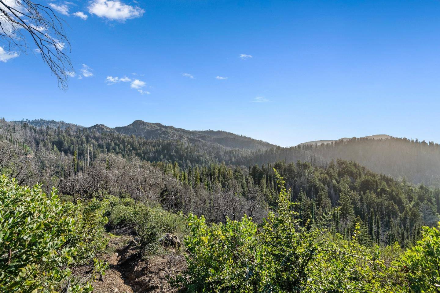 Boulder Creek, CA 95006,21200 Big Basin WAY