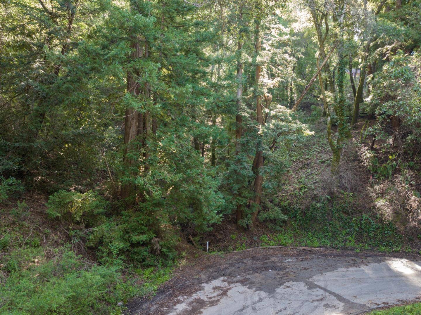Felton, CA 95018,Lot 34 Lake BLVD