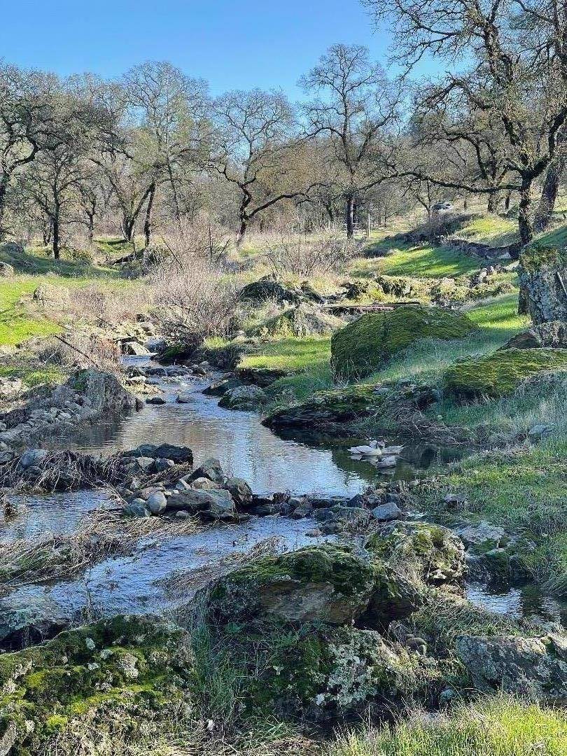 Oroville, CA 95966,00 Avacado RD