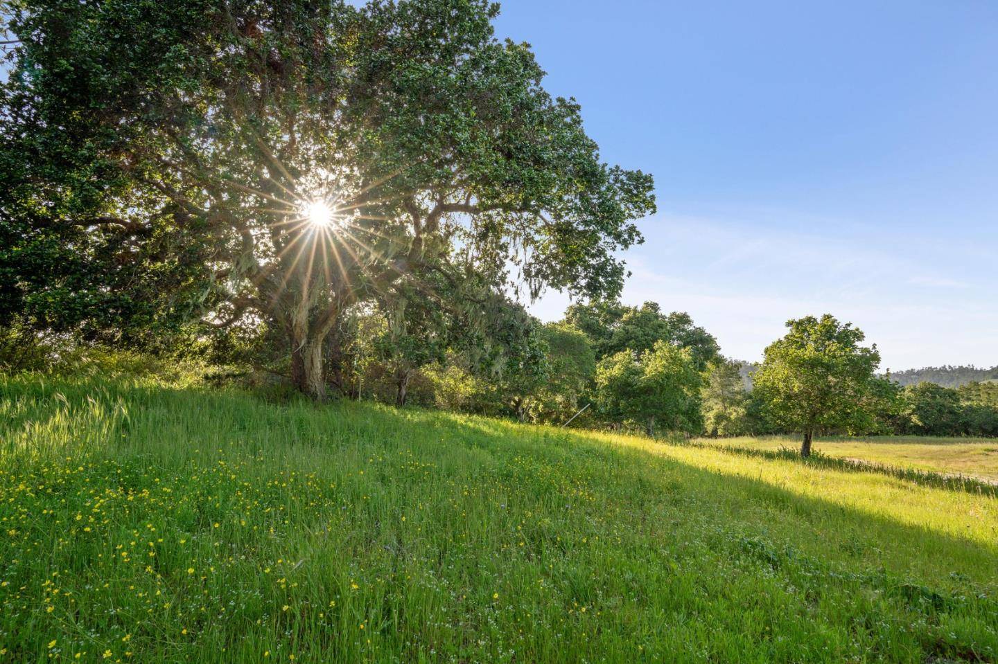 Carmel, CA 93923,23 Tehama (Homesite 40)