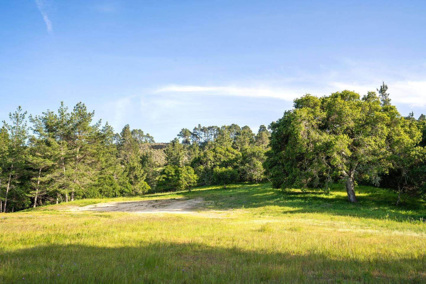 Carmel, CA 93923,23 Tehama (Homesite 40)